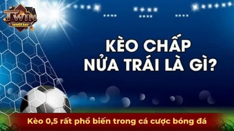 Cách đọc kèo bóng đá từ A - Z cho những tay chơi mới 4 Kèo 0,5 rất phổ biến trong cá cược bóng đá