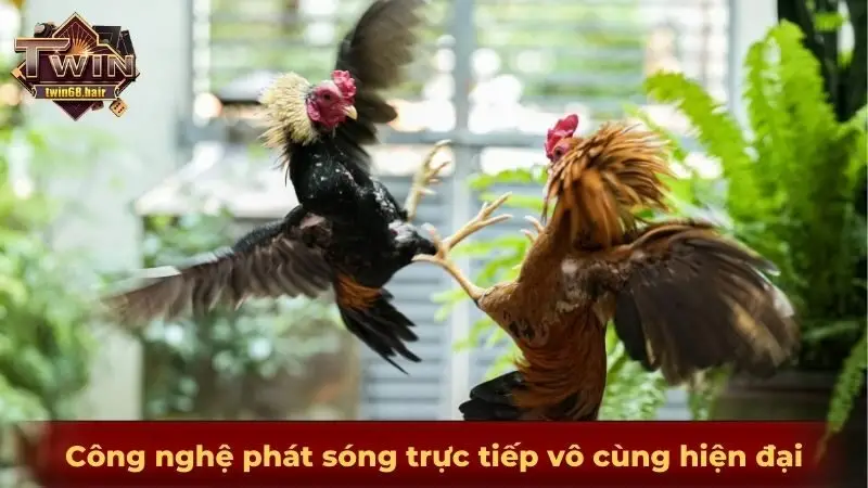 Công nghệ phát sóng trực tiếp vô cùng hiện đại