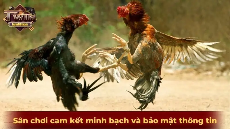 Sân chơi cam kết minh bạch và bảo mật thông tin